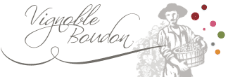 logo_boudon_vigneron_bulles.png